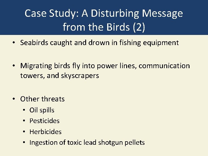 Case Study: A Disturbing Message from the Birds (2) • Seabirds caught and drown