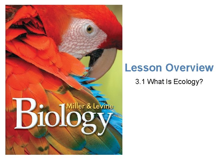 Lesson Overview What is Ecology? Lesson Overview 3. 1 What Is Ecology? 