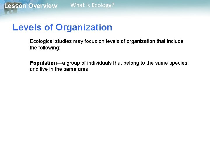 Lesson Overview What is Ecology? Levels of Organization Ecological studies may focus on levels