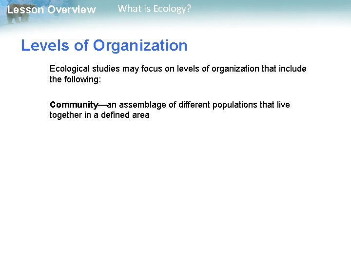 Lesson Overview What is Ecology? Levels of Organization Ecological studies may focus on levels