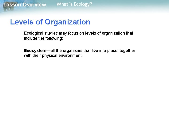 Lesson Overview What is Ecology? Levels of Organization Ecological studies may focus on levels