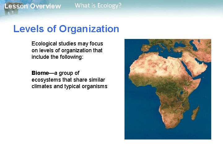 Lesson Overview What is Ecology? Levels of Organization Ecological studies may focus on levels