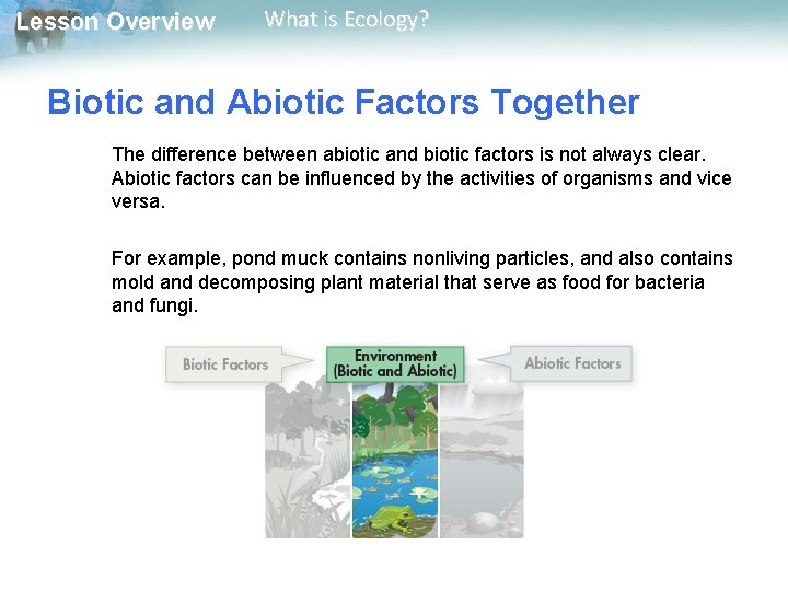 Lesson Overview What is Ecology? Biotic and Abiotic Factors Together The difference between abiotic
