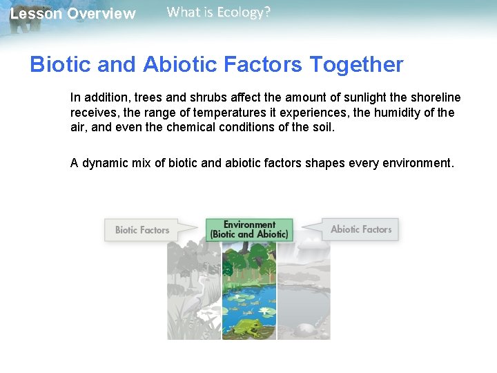 Lesson Overview What is Ecology? Biotic and Abiotic Factors Together In addition, trees and