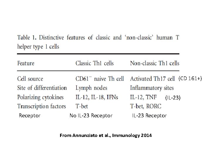 (CD 161+) (IL-23) Receptor No IL-23 Receptor From Annunziato et al. , Immunology 2014