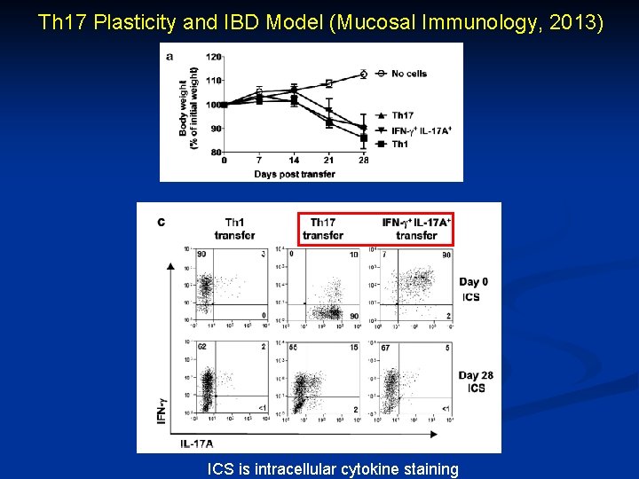Th 17 Plasticity and IBD Model (Mucosal Immunology, 2013) ICS is intracellular cytokine staining