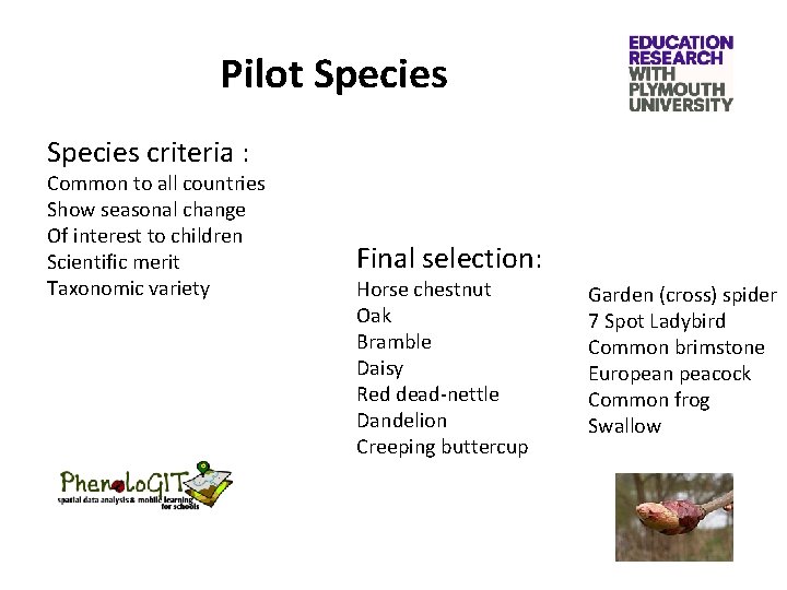 Pilot Species criteria : Common to all countries Show seasonal change Of interest to
