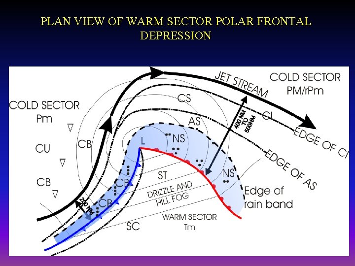 PLAN VIEW OF WARM SECTOR POLAR FRONTAL DEPRESSION 