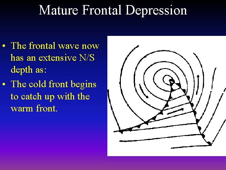 Mature Frontal Depression • The frontal wave now has an extensive N/S depth as: