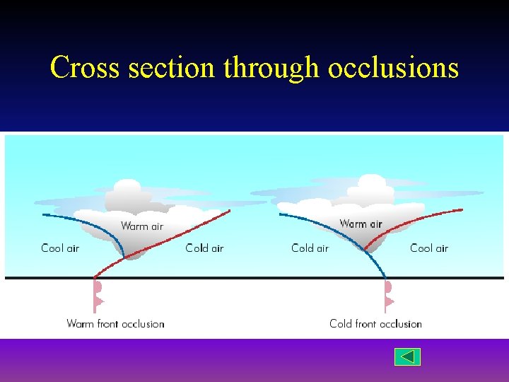 Cross section through occlusions 