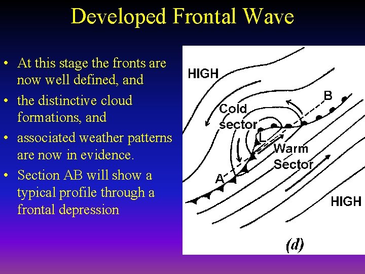 Developed Frontal Wave • At this stage the fronts are now well defined, and