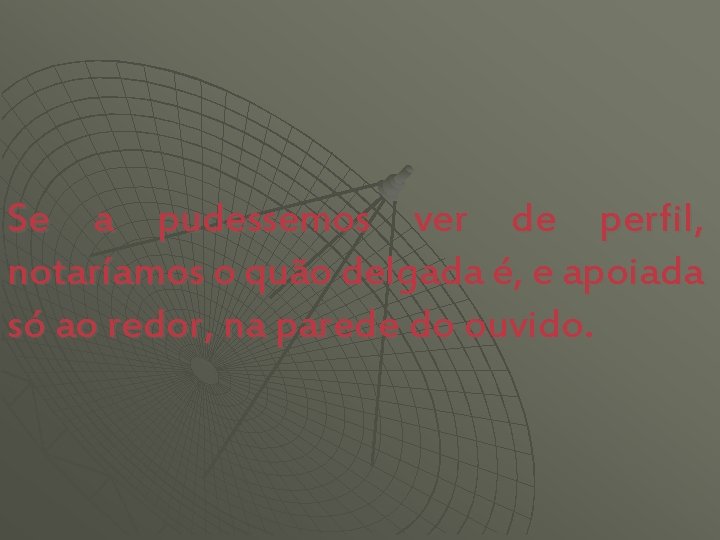 Se a pudessemos ver de perfil, notaríamos o quão delgada é, e apoiada só