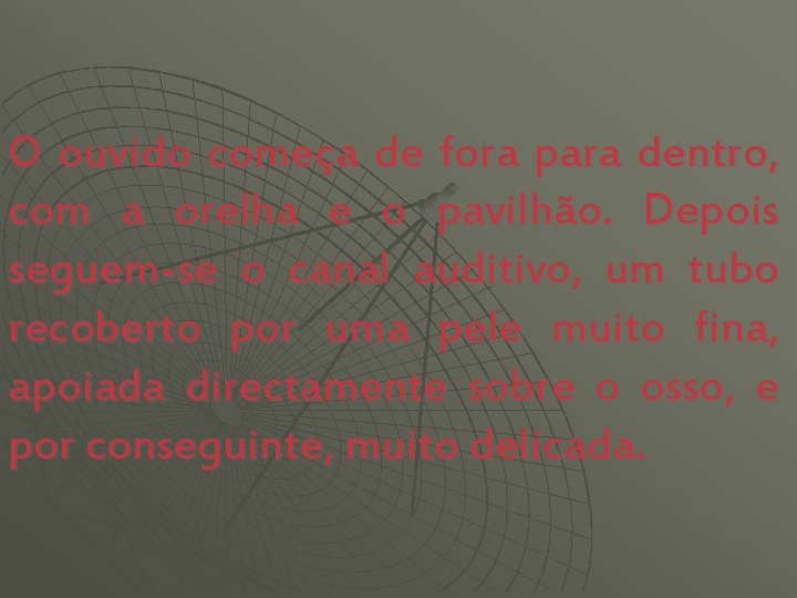 O ouvido começa de fora para dentro, com a orelha e o pavilhão. Depois