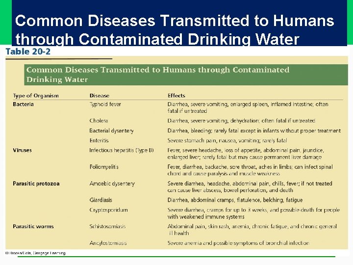 Common Diseases Transmitted to Humans through Contaminated Drinking Water Common Diseases Transmitted to Humans through Contaminated Drinking Water
