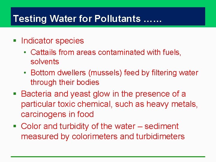 Testing Water for Pollutants …… § Indicator species • Cattails from areas contaminated with Testing Water for Pollutants …… § Indicator species • Cattails from areas contaminated with