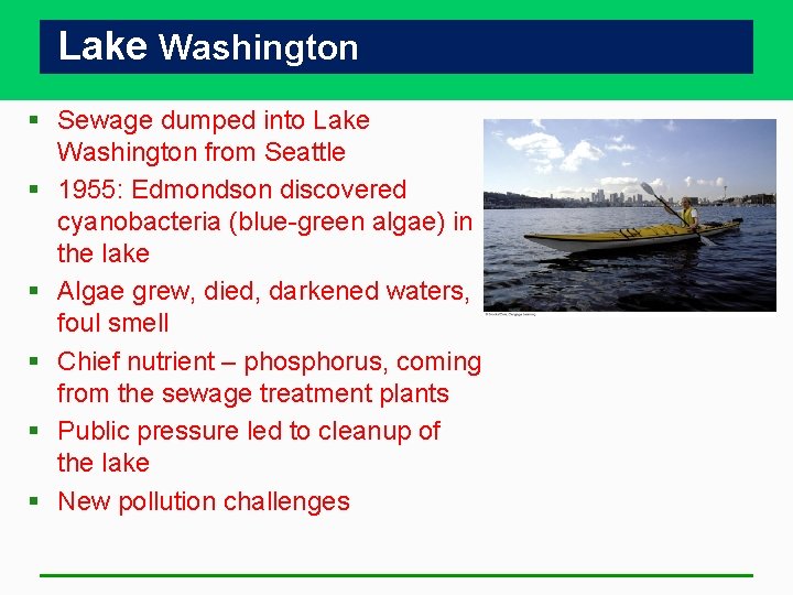 Lake Washington § Sewage dumped into Lake Washington from Seattle § 1955: Edmondson discovered Lake Washington § Sewage dumped into Lake Washington from Seattle § 1955: Edmondson discovered
