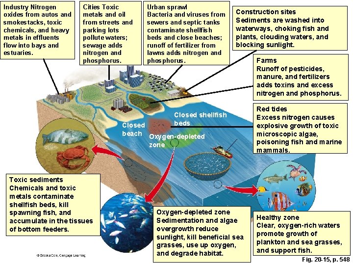 Industry Nitrogen oxides from autos and smokestacks, toxic chemicals, and heavy metals in effluents Industry Nitrogen oxides from autos and smokestacks, toxic chemicals, and heavy metals in effluents