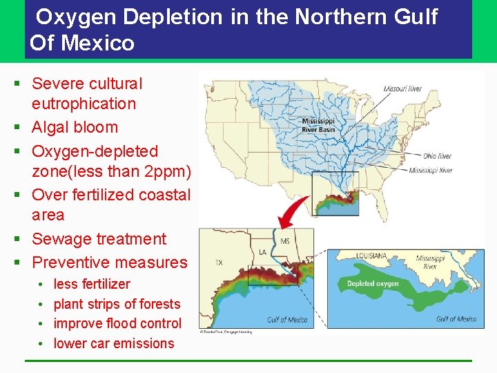 Oxygen Depletion in the Northern Gulf Of Mexico § Severe cultural eutrophication § Algal Oxygen Depletion in the Northern Gulf Of Mexico § Severe cultural eutrophication § Algal