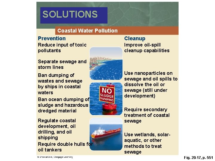 SOLUTIONS Coastal Water Pollution Prevention Cleanup Reduce input of toxic pollutants Improve oil-spill cleanup SOLUTIONS Coastal Water Pollution Prevention Cleanup Reduce input of toxic pollutants Improve oil-spill cleanup