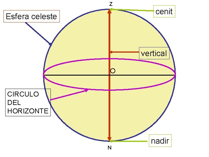 Z Esfera celeste cenit vertical O CIRCULO DEL HORIZONTE N nadir 