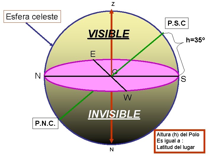 Z Esfera celeste P. S. C VISIBLE h=35º E N O S W P.
