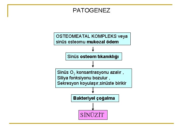 PATOGENEZ OSTEOMEATAL KOMPLEKS veya sinüs osteomu mukozal ödem Sinüs osteom tıkanıklığı Sinüs O 2