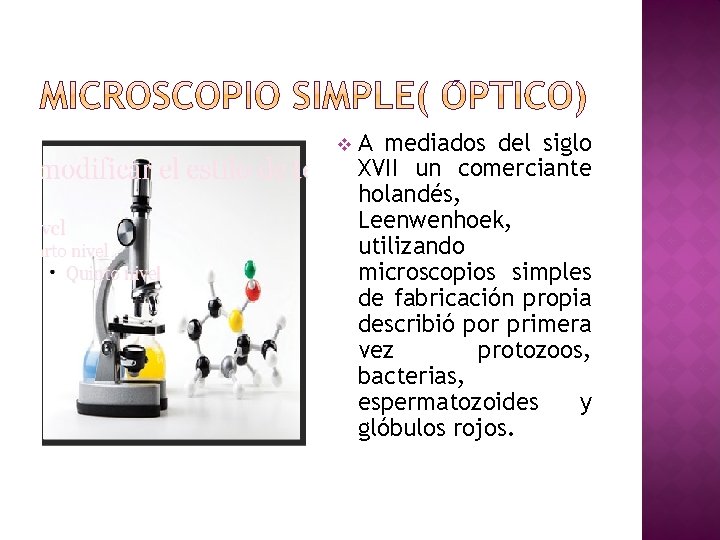 v A mediados del siglo XVII un comerciante holandés, Leenwenhoek, utilizando microscopios simples de