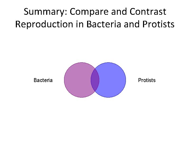 Summary: Compare and Contrast Reproduction in Bacteria and Protists Bacteria Protists 