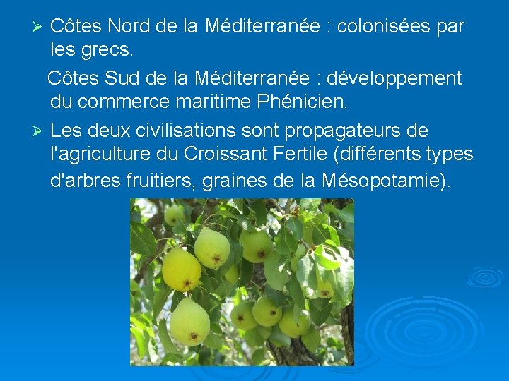 Côtes Nord de la Méditerranée : colonisées par les grecs. Côtes Sud de la
