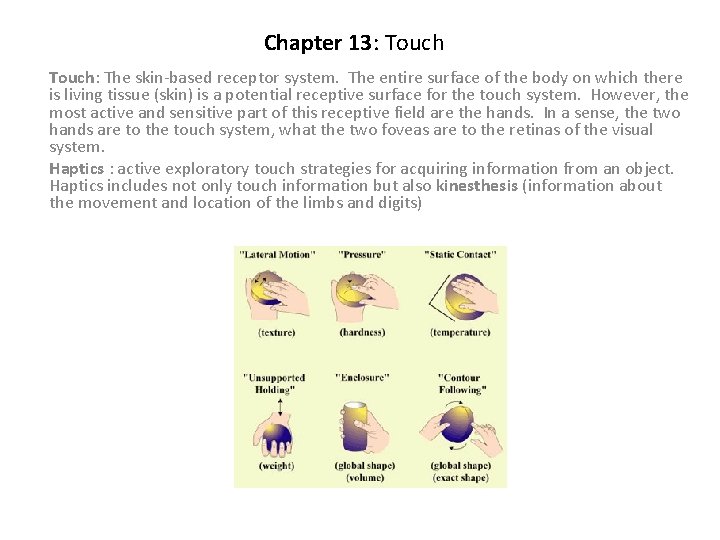 Chapter 13: Touch: The skin-based receptor system. The entire surface of the body on
