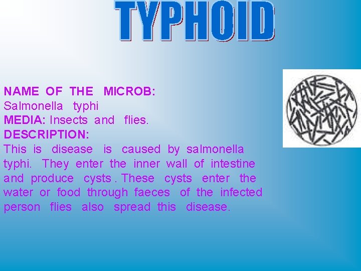 NAME OF THE MICROB: Salmonella typhi MEDIA: Insects and flies. DESCRIPTION: This is disease