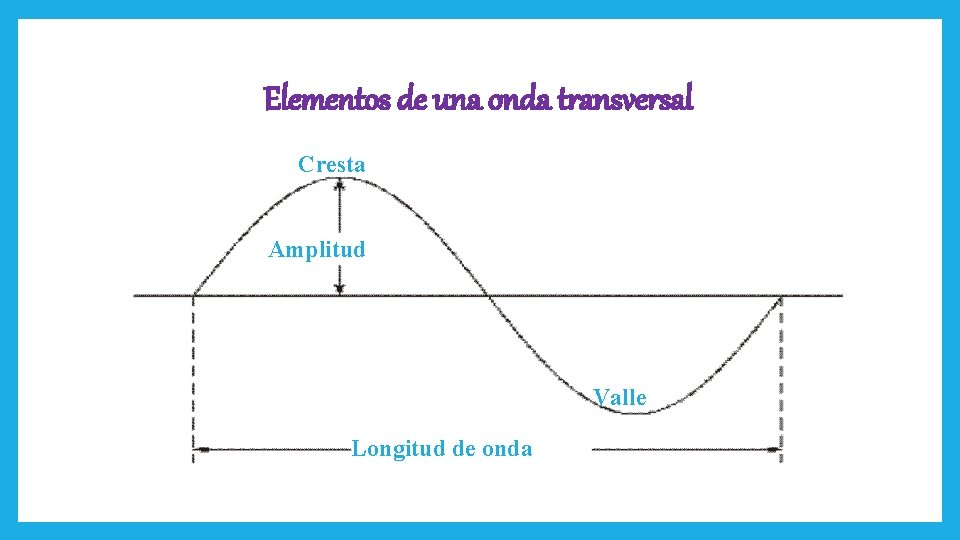 Elementos de una onda transversal Cresta Amplitud Valle Longitud de onda 