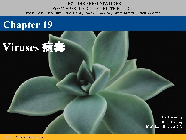 LECTURE PRESENTATIONS For CAMPBELL BIOLOGY, NINTH EDITION Jane B. Reece, Lisa A. Urry, Michael