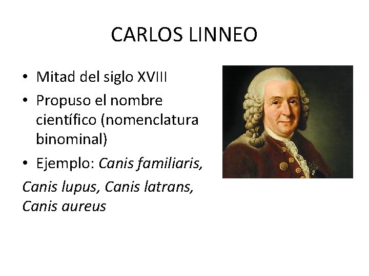 CARLOS LINNEO • Mitad del siglo XVIII • Propuso el nombre científico (nomenclatura binominal)