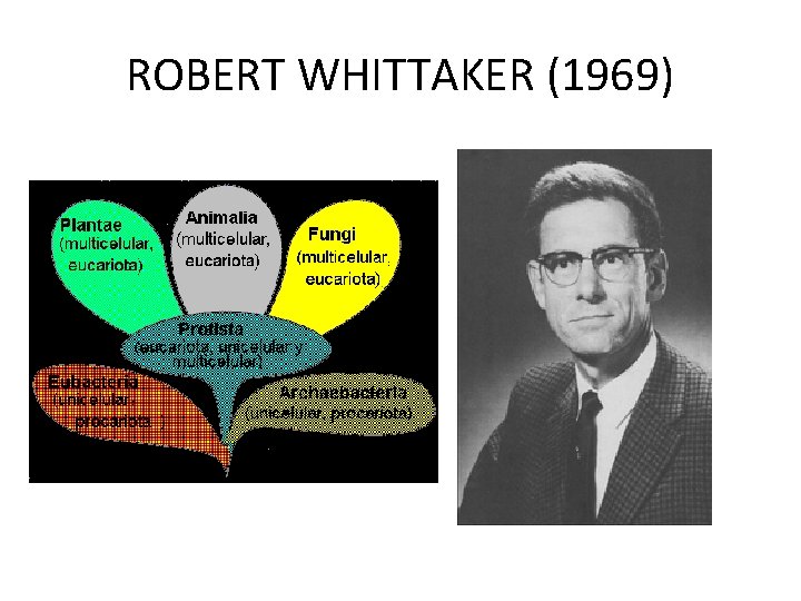 ROBERT WHITTAKER (1969) 