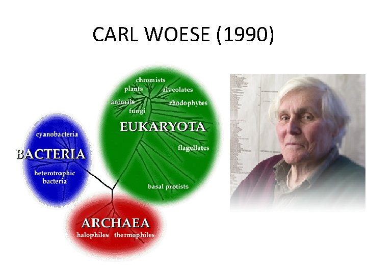 CARL WOESE (1990) 