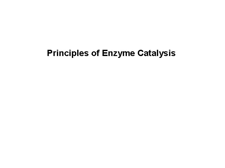 Principles of Enzyme Catalysis 
