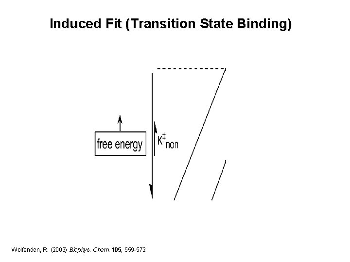 Induced Fit (Transition State Binding) Wolfenden, R. (2003) Biophys. Chem. 105, 559 -572 