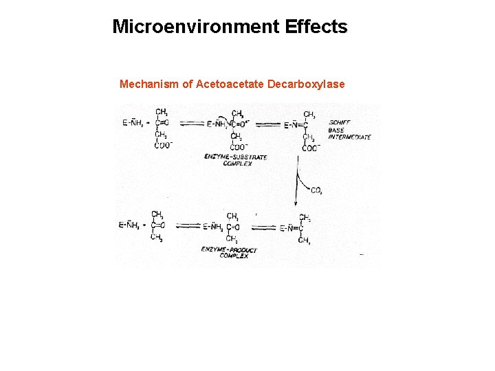 Microenvironment Effects Mechanism of Acetoacetate Decarboxylase 