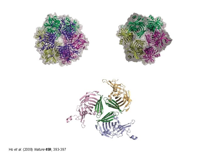 Ho et al. (2009) Nature 459, 393 -397 