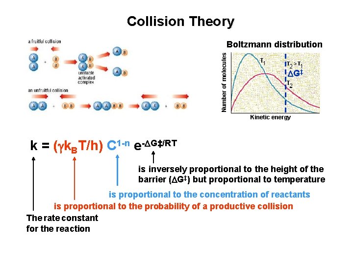 Collision Theory Number of molecules Boltzmann distribution DG‡ Kinetic energy k = (gk. BT/h)