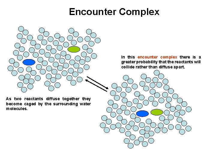 Encounter Complex In this encounter complex there is a greater probability that the reactants