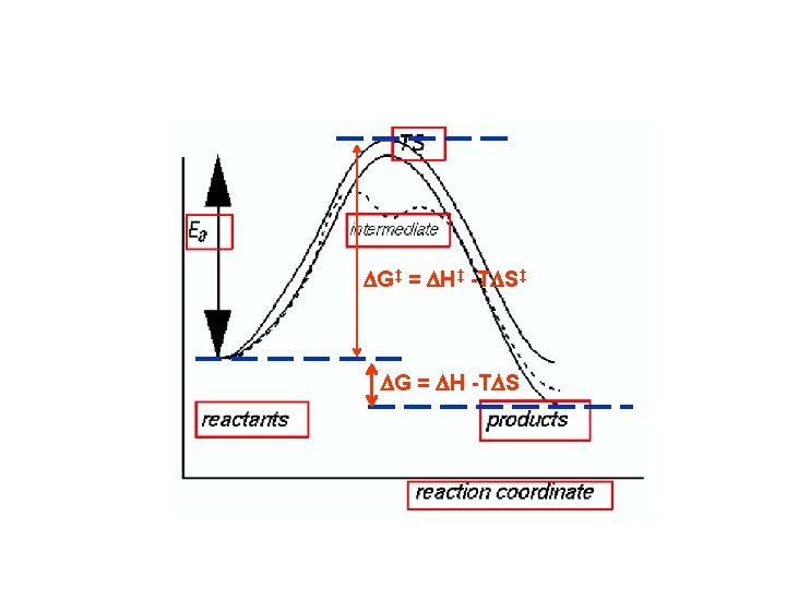 DG‡ = DH‡ -TDS‡ DG = DH -TDS DG‡ = DH‡ -TDS‡ DG = DH -TDS