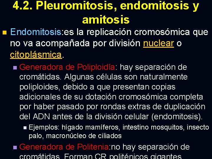 4. 2. Pleuromitosis, endomitosis y amitosis n Endomitosis: es la replicación cromosómica que no