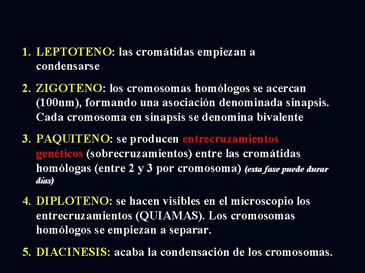 1. LEPTOTENO: las cromátidas empiezan a condensarse 2. ZIGOTENO: los cromosomas homólogos se acercan