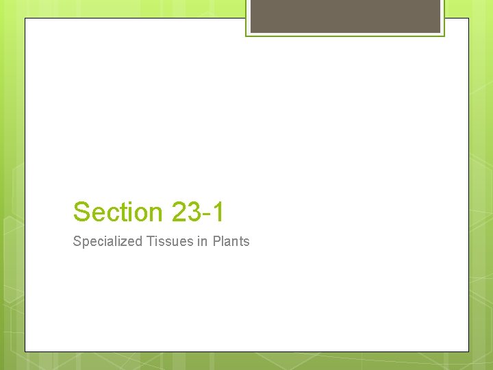 Section 23 -1 Specialized Tissues in Plants 