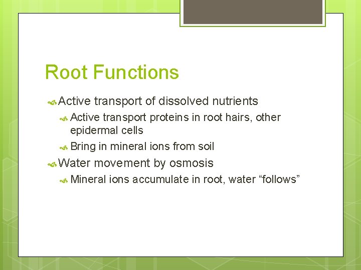 Root Functions Active transport of dissolved nutrients Active transport proteins in root hairs, other