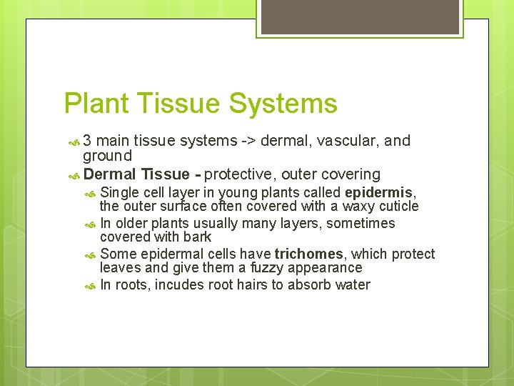 Plant Tissue Systems 3 main tissue systems -> dermal, vascular, and ground Dermal Tissue