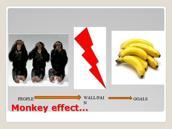 PEOPLE WALL/PAI N Monkey effect… GOALS 