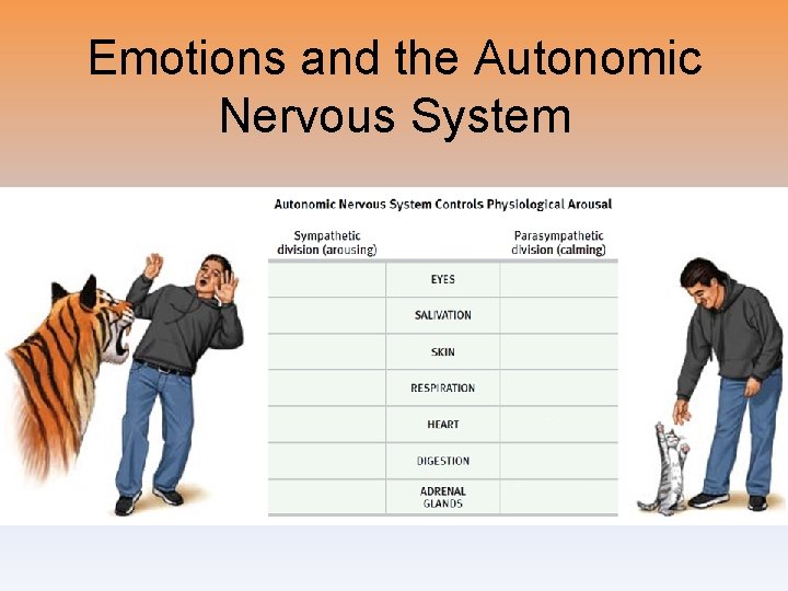 Emotions and the Autonomic Nervous System 